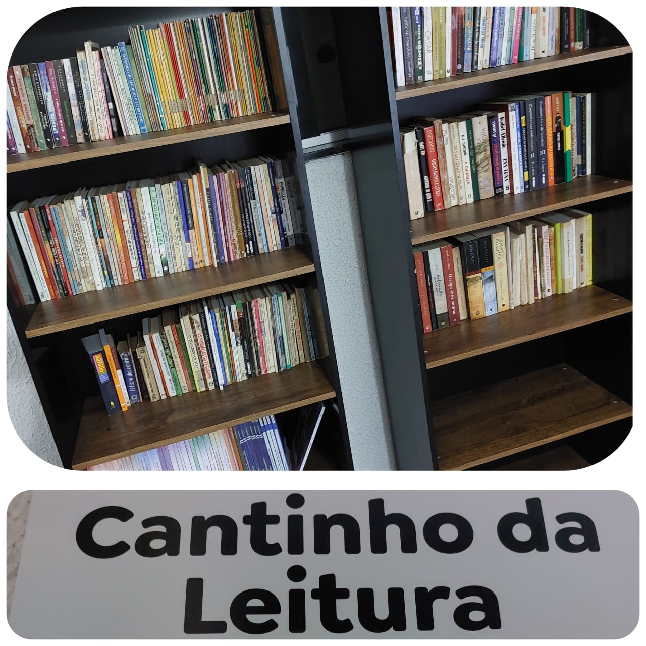 Unidade 6 4