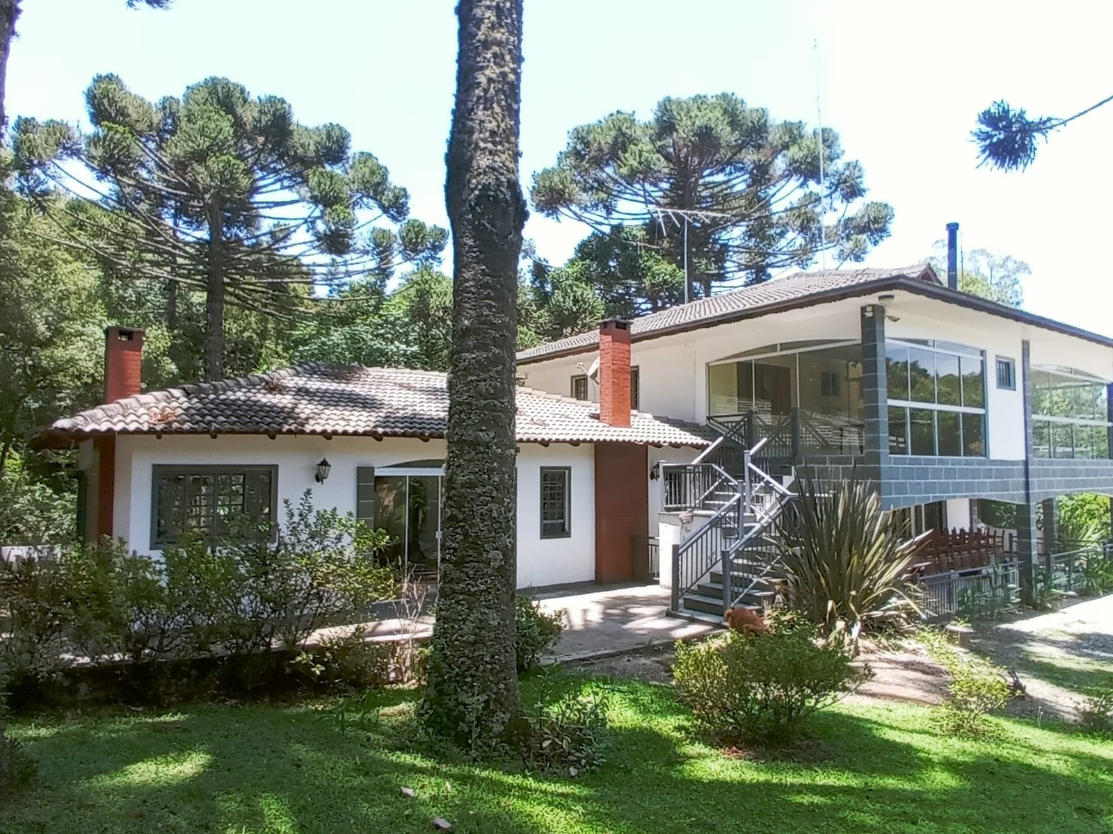 Unidade 8 1